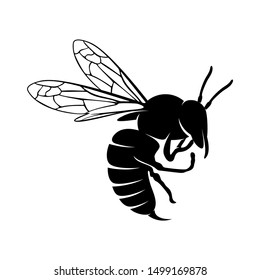 Bee logo design vector. Icon Symbol. Template Illustration