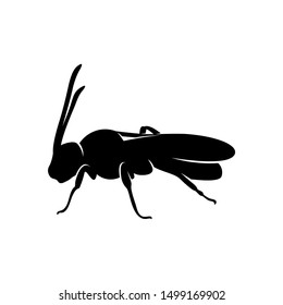 Bee logo design vector. Icon Symbol. Template Illustration