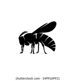 Bee logo design vector. Icon Symbol. Template Illustration