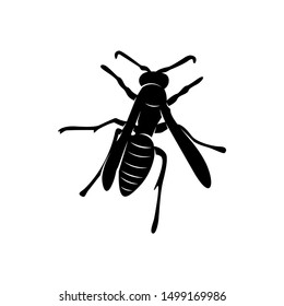 Bee logo design vector. Icon Symbol. Template Illustration