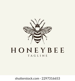 Bee logo design vector illustration
