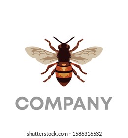 Bee logo icon design template sign