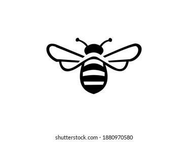 bee logo vector design icon