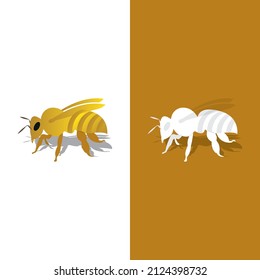 Bee logo vector icon illustration design