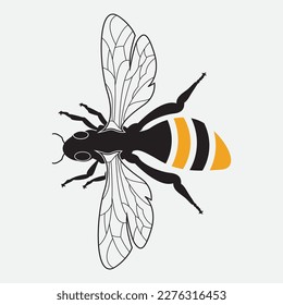 bee logo vector illustration design icon logo template