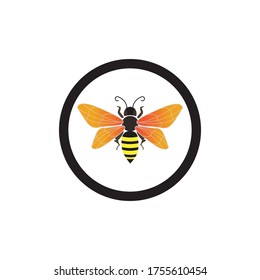 bee logo vectors illustration design