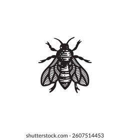 Bee logo in vintage handdrawn style, tattoo idea, woodcut illustration