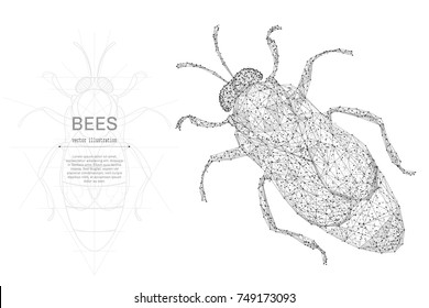 Bee low poly wireframe isolated black on white background. Abstract mash line and point origami. Vector illustration. Insect bees concept with geometry triangle. Light connection structure.