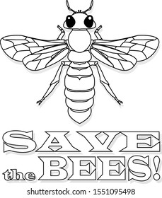 Bee monochrome illustration - vector text quotes and bee drawing. Lettering poster or t-shirt textile graphic design.