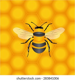 Bee on beehive