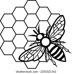 Bee on beehive vector file