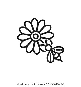 bee on blossom line icon