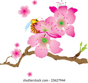 Bee on the flower