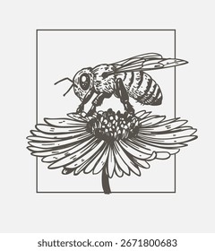 Bee on a flower, hand drawn vector illustration, monochrome