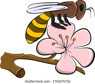 Bee on flower , illustration, vector on white background