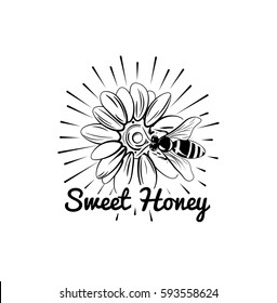 Bee on flower. Sweet honey label, logo, badge. Eco product. Vintage vector illustration isolated on white background