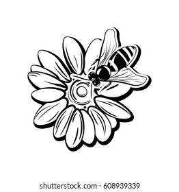 Bee on flower. Vintage vector illustration