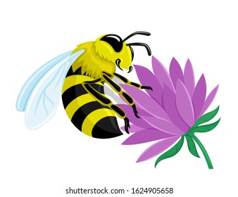 Bee on a flower on a white background.
