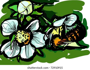 Bee on flowers