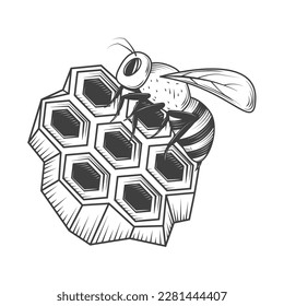 bee on hive icon isolated design