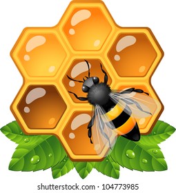 Bee on honeycomb