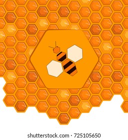 Bee on a honeycomb background