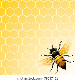 Bee on honeycomb. Background for you design.