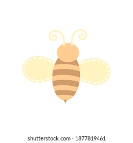 
bee on the white background