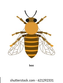 Bee - one of the few insects that men could "tame" in order to receive honey