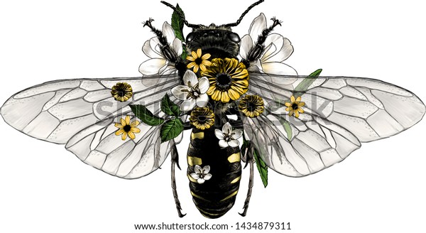 bee with open wings top view decorated with flowers and leaves symmetrically, sketch vector graphic style color illustration on white background