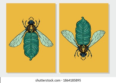 Bee and palm leaf. Flora and fauna vintage print. Tattoo style illustration print with plant and bug.