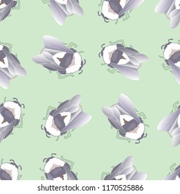 Bee pattern background. seamless pattern, funny bumblebees