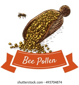 Bee pollen colorful illustration. Vector colorful illustration of bee pollen.