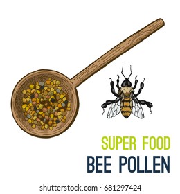 Bee pollen. Full color super food hand drawn sketch vector illustration.