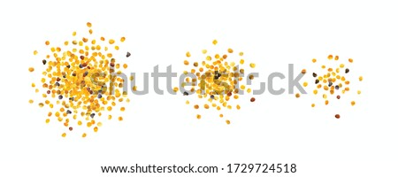 Bee Pollen, Perga, Flower Pollen Grains or Bee Bread