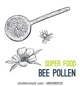 Bee pollen. Super food hand drawn sketch vector illustration.