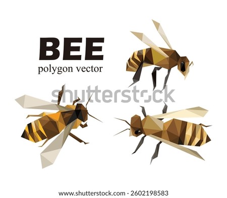 Bee Polygonal Low Poly Vector Set. Bee Illustration abstract vector collection. Flying Bee animal illustration for kids animal book