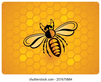 Bee, schematic illustration on the background of a honeycomb. 