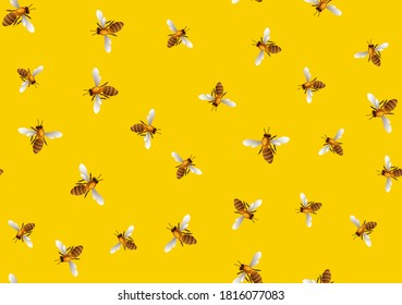 Bee seamless pattern background . Vector bee background.