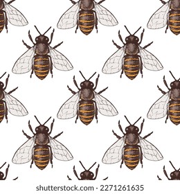 Bee seamless pattern. Hand drawn vector illustration. Endless background. Bee sketch.