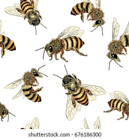 Bee seamless pattern in honey spectrum color. Vector illustration of sketched bees from various angles in detail.