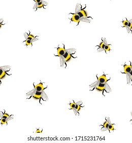 Patrón transparente sobre fondo blanco. Ilustración de abejas voladoras esbozadas.