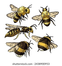 bee set hand drawn. pollinate honey, cute black, fly sketch bee vector sketch. isolated color illustration