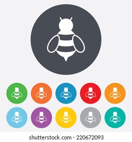 Bee sign icon. Honeybee or apis with wings symbol. Flying insect. Round colourful 11 buttons. Vector