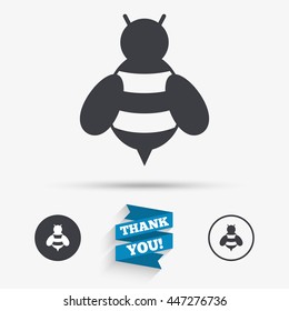 Bee sign icon. Honeybee or apis with wings symbol. Flying insect. Flat icons. Buttons with icons. Thank you ribbon. Vector