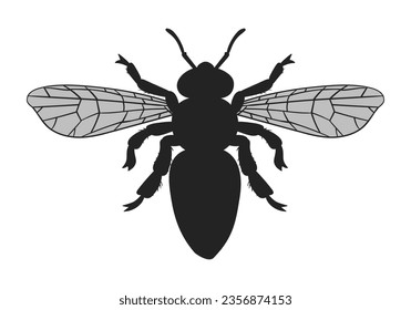 Bee silhouette. Cartoon honey bee flying insect, striped bumblebee top view. Winged honey bee flat vector illustration