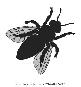 Bee silhouette. Cartoon honey bee insect, winged bumblebee, honey bee top view silhouette flat vector illustration