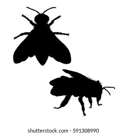 Bee silhouette. Hand drawn image. Black white icon. Vector illustration. Logo desing