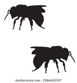 Bee Silhouette, Bee illustration, Bee icon Silhouette, Bee Silhouette illustration