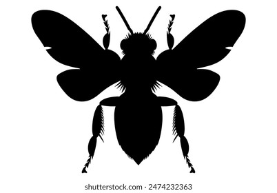 Bee Silhouette isolated black on white background Vector Illustration, Honey Bee Icon, Honey bee insect silhouette.